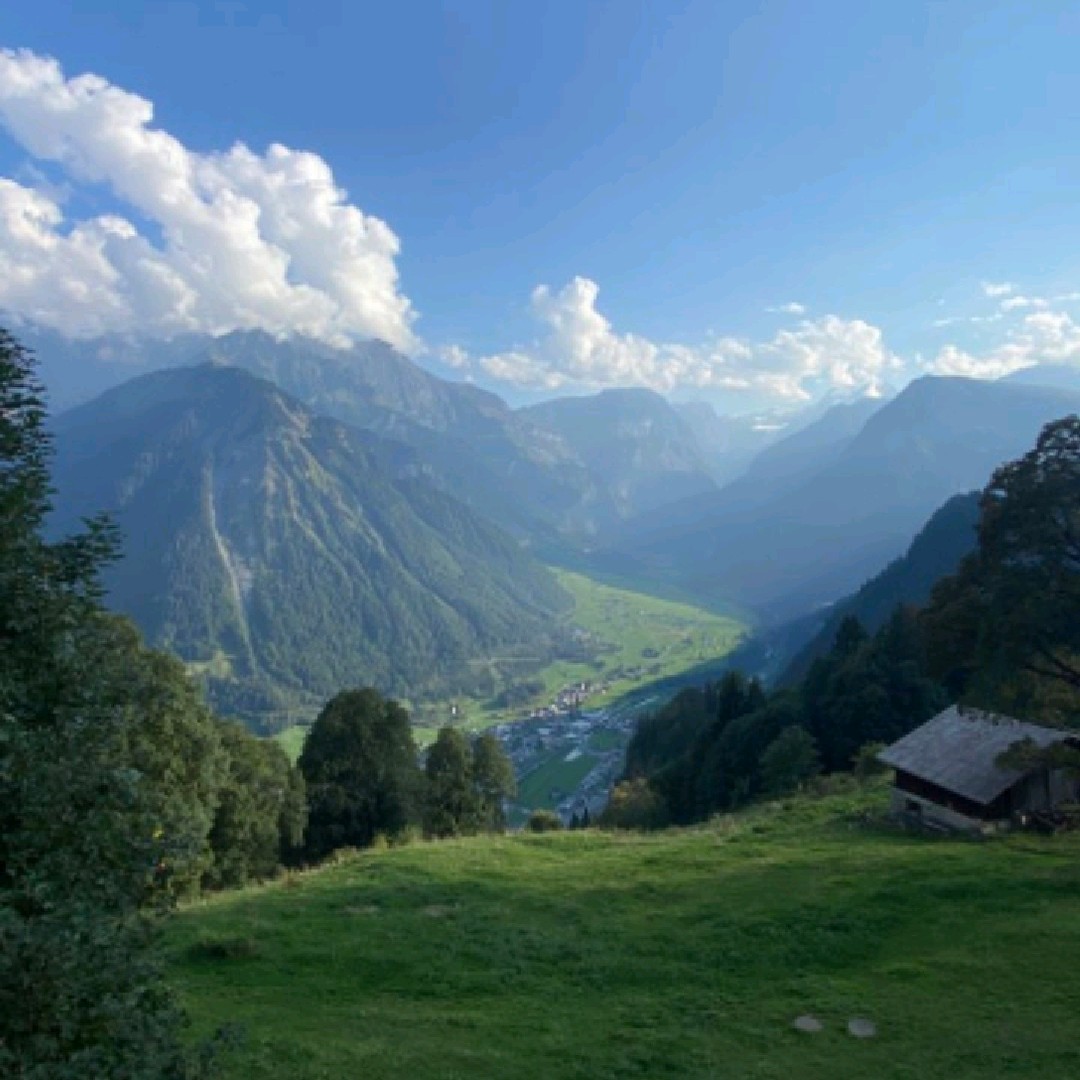 THE NATURE [TOP]