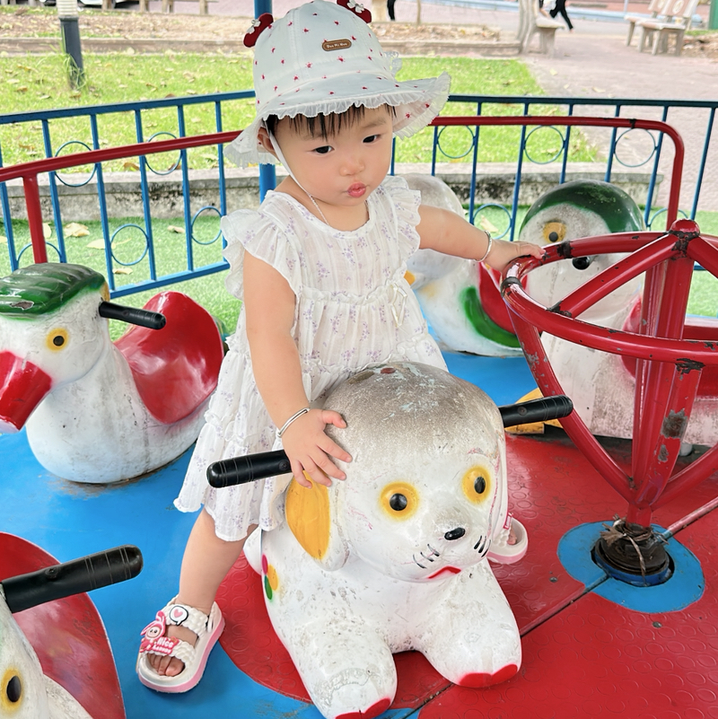 Vi Tú Anh