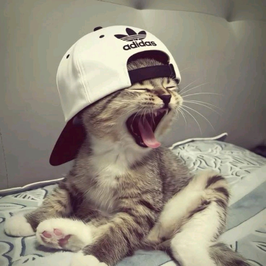 EJA👑