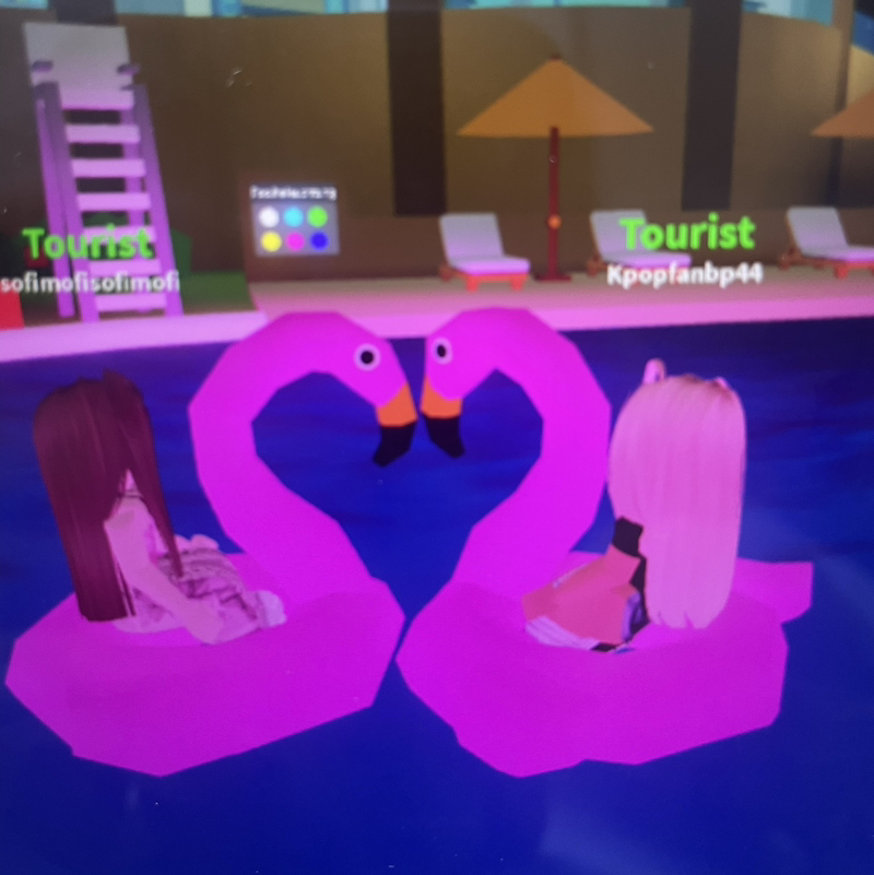 н α у и є ѕ ѕ α 🪽