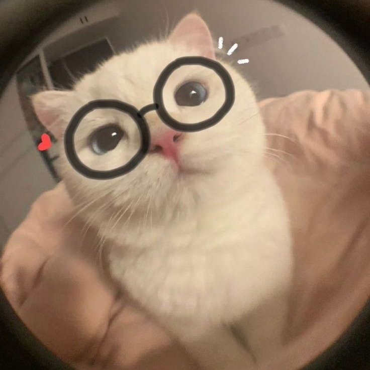 ‎منهاج حسين مناع‎