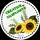Creative Sunflower 