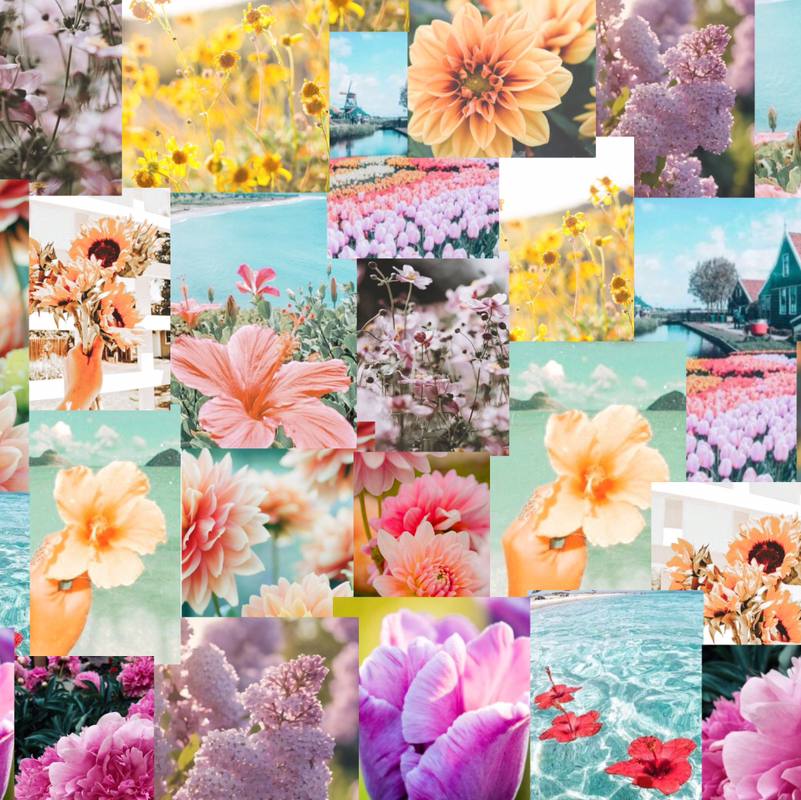edie_edits🥥🌸