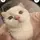 k!tty's_ar3cut3