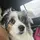 Adaloveslife