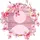 ✨🌺UNE COSSIENE🌺✨