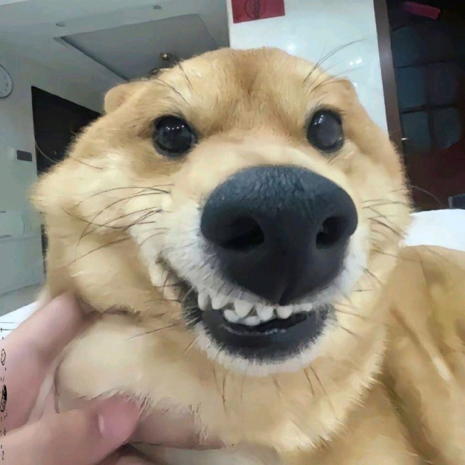 你好老公