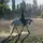 franci_hr🐴