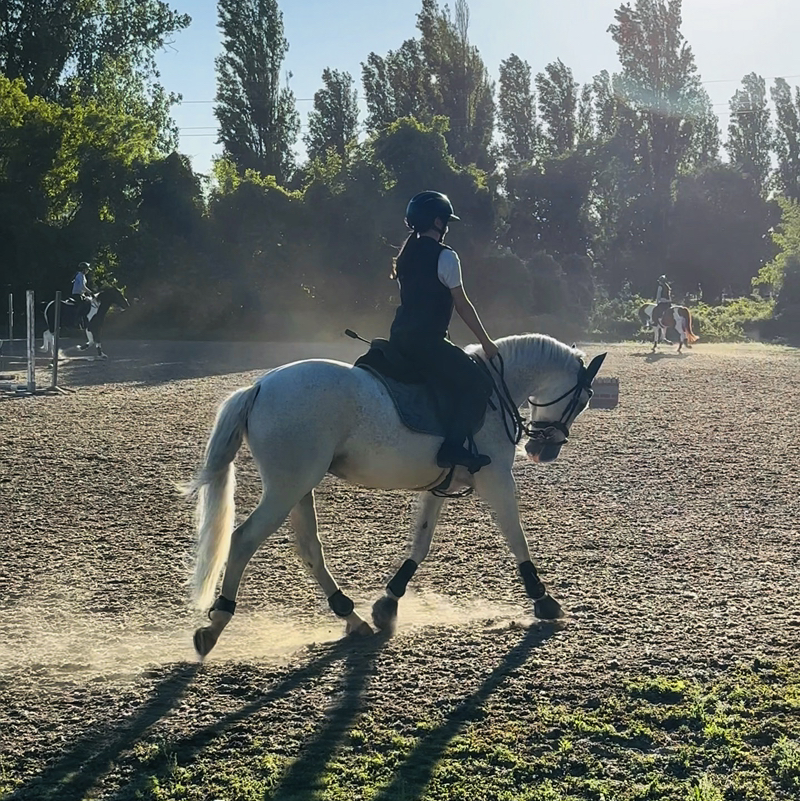 franci_hr🐴