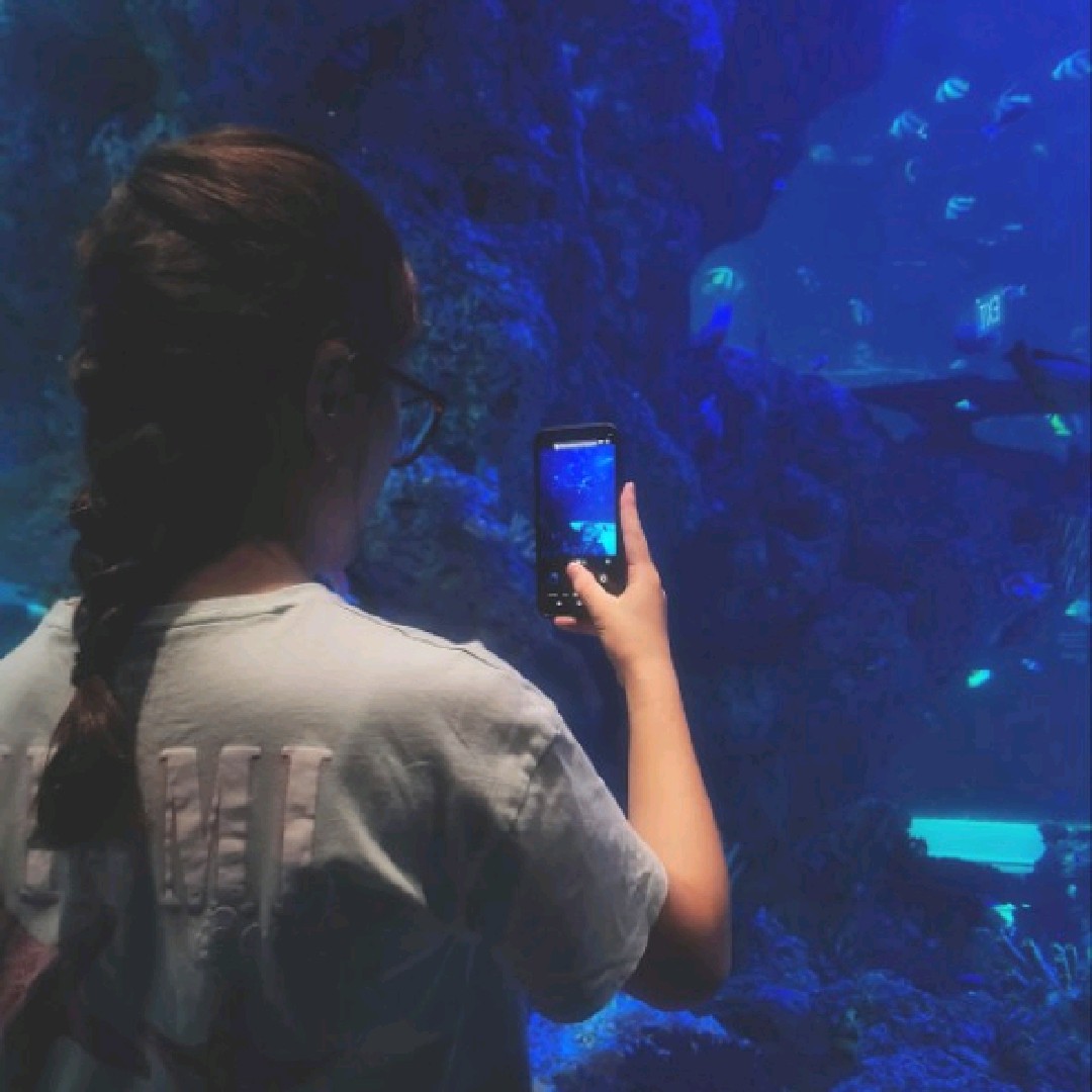 𝐣𝐚𝐬𝐦𝐢𝐧𝐞. 🦈