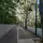 floralis_66 