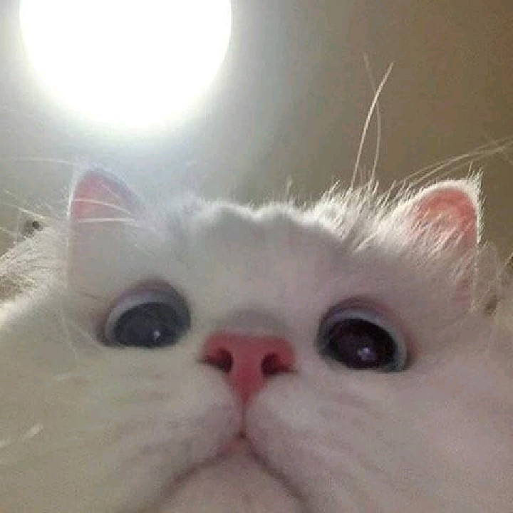 it's_angellll