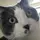 ライムのあ猫柱