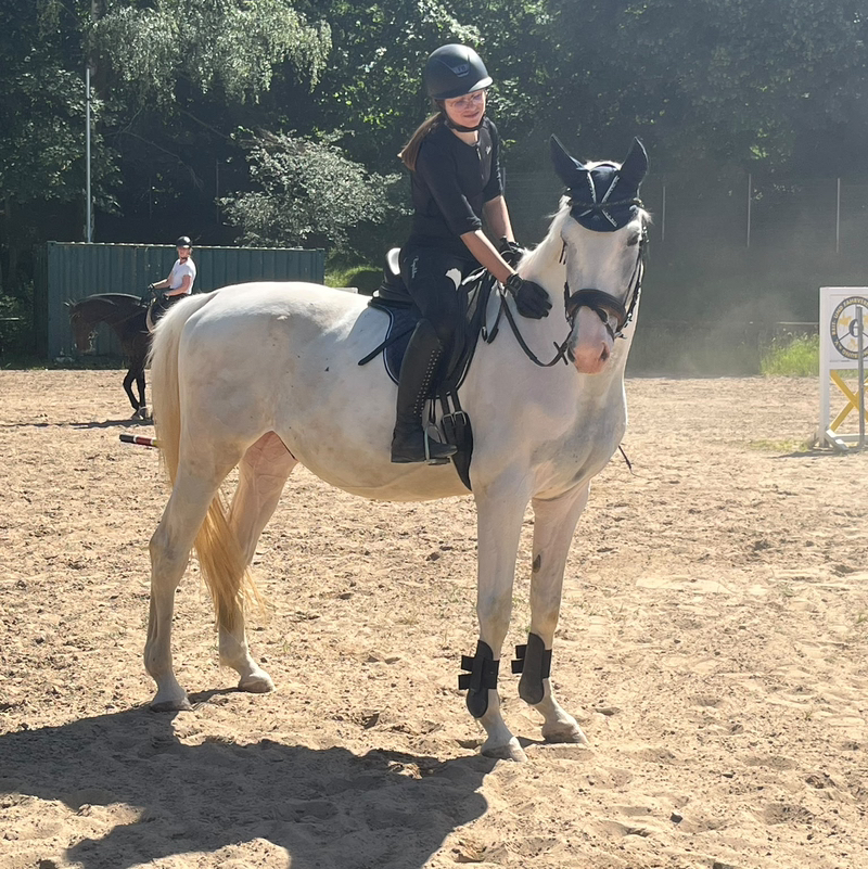 K.eq