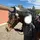 Eq_Hilma🩷🐴