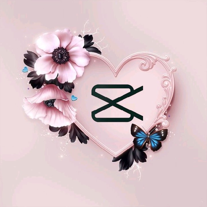 butterfly [LDR]