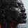 THE FRO 