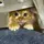 CatCapCut