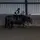 EquestrianHere