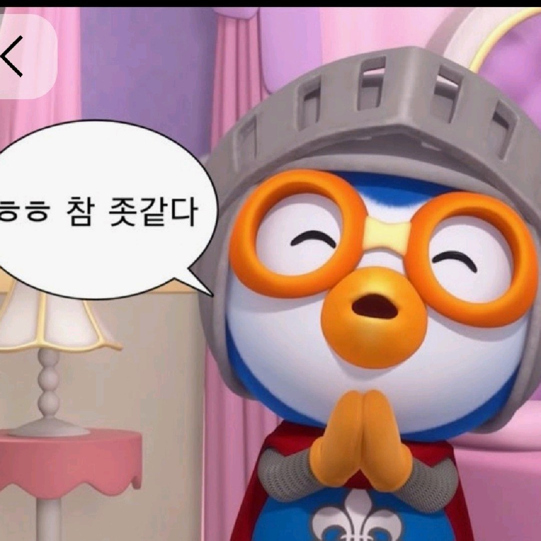 핑크뽀로로🐧