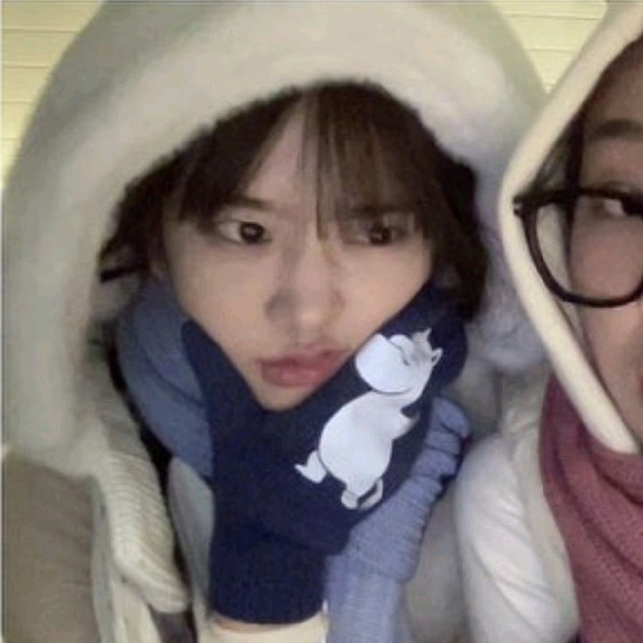 Ahn 