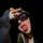 Fy-