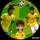 bryan_brzin