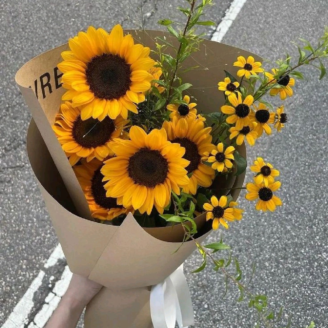 Sun_Flower[SHL]🌼