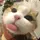 mpawdump