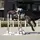 Aaliyah_Showjumping