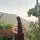 madhavi 