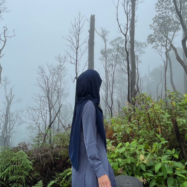 Apriasr
