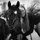 zoe_eventing.nz