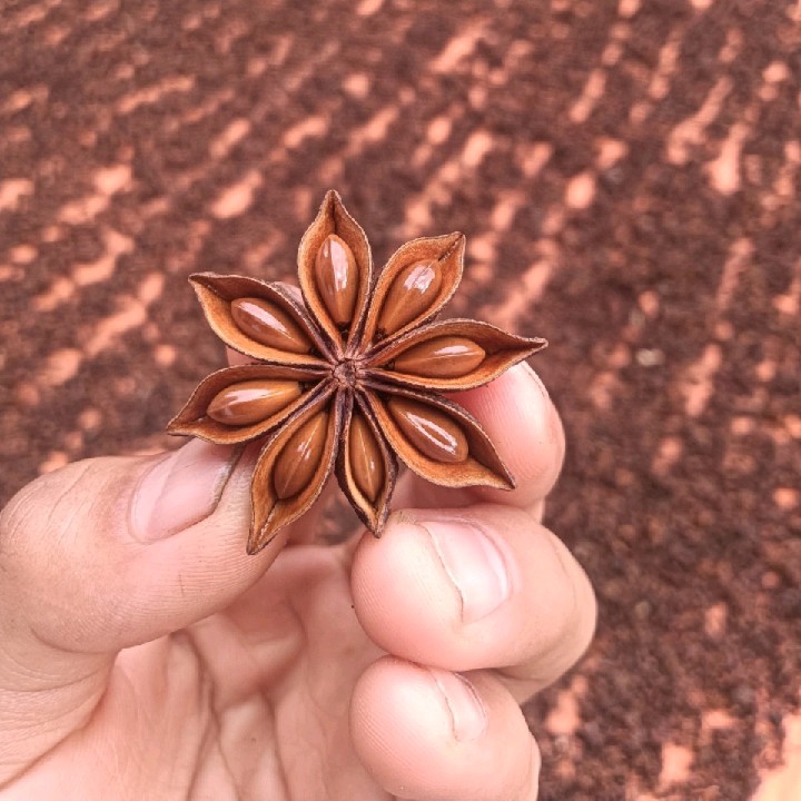 LVM🍁