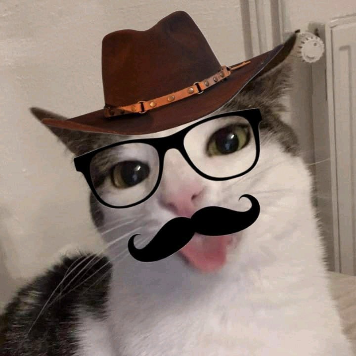 Nik