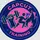 capcut training 