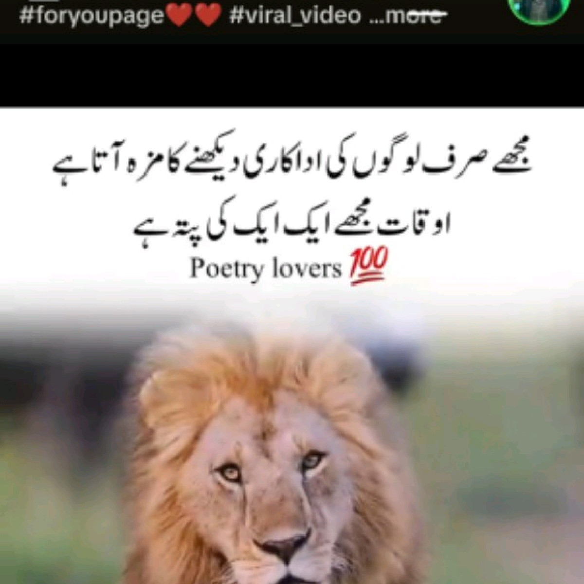 imran4525