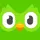 Duolingo(듀오링고)