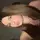 _loulou_