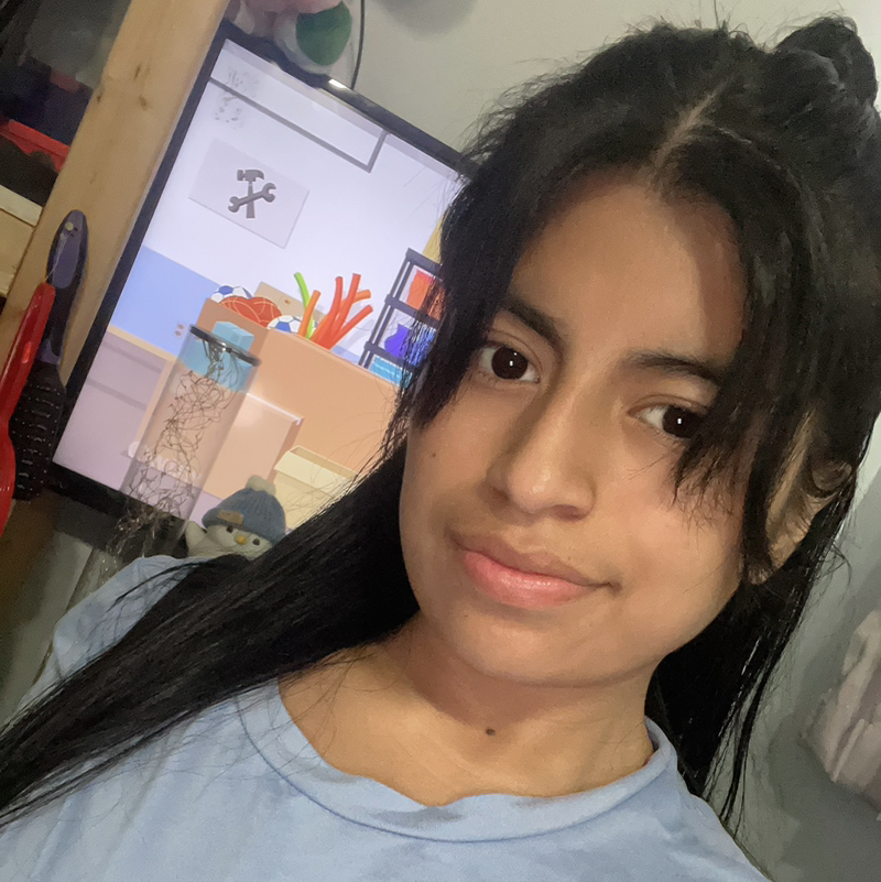Estela ical 