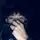 EZY ⁠✪[TOP]