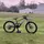 SpecializedRaph