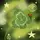 cakegreen 