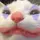 ꜱᴀꜱʜᴀ