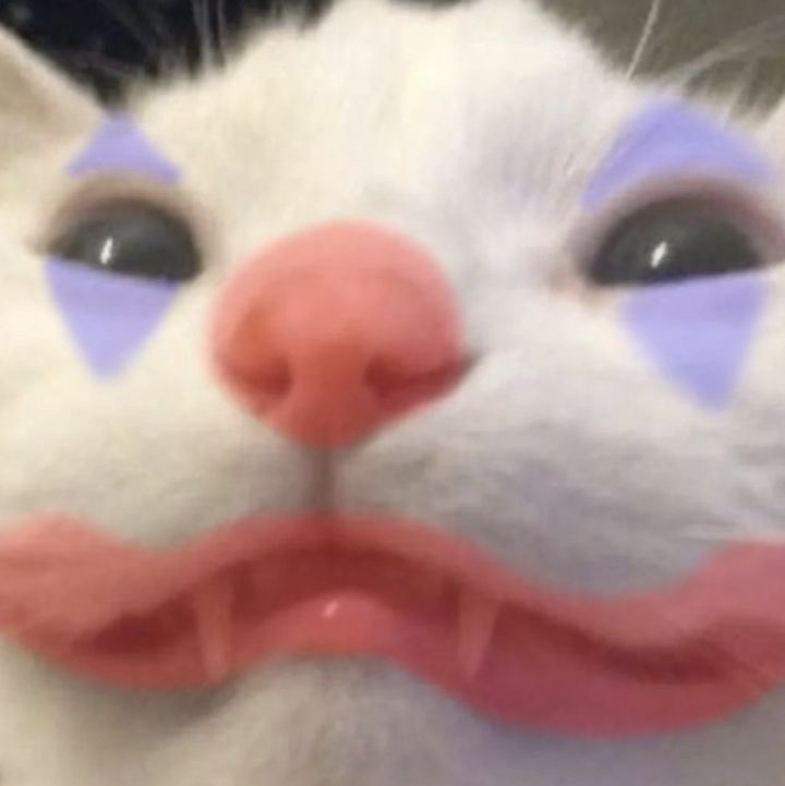 ꜱᴀꜱʜᴀ