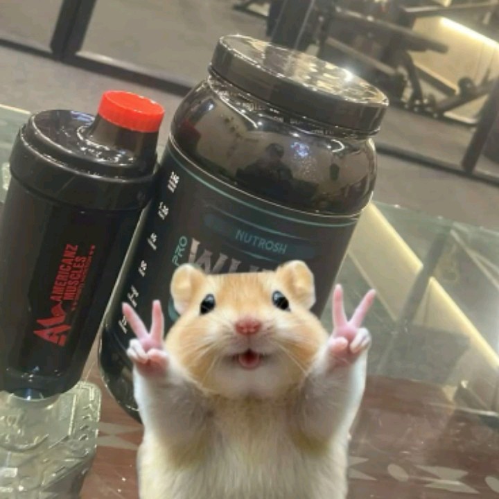 Cute [ PS ]