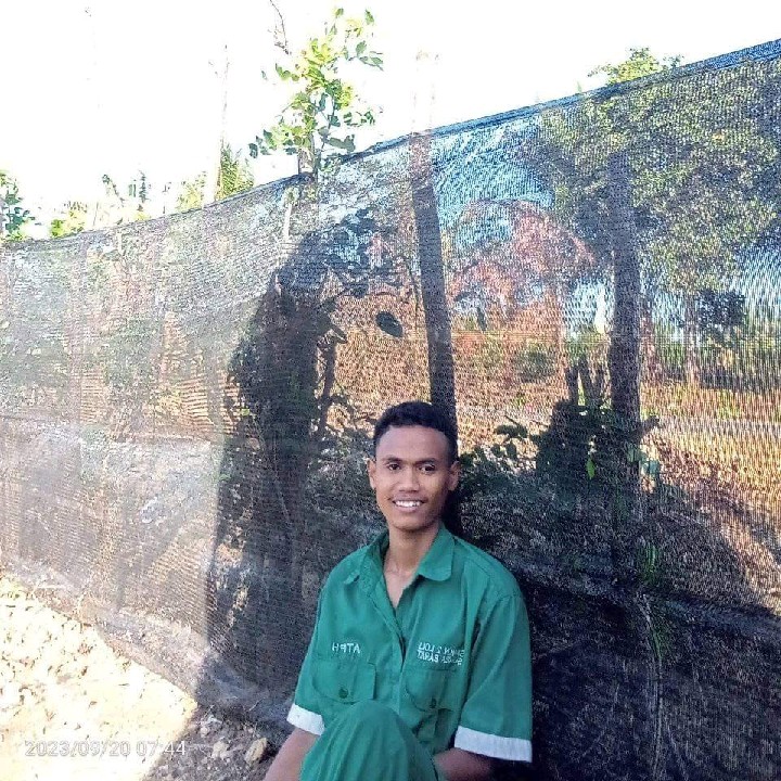 Bertus