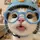 JUSTFRIEND66