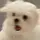 ꒰ა모찌໒꒱ (닉도