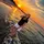 ichhalthe_111